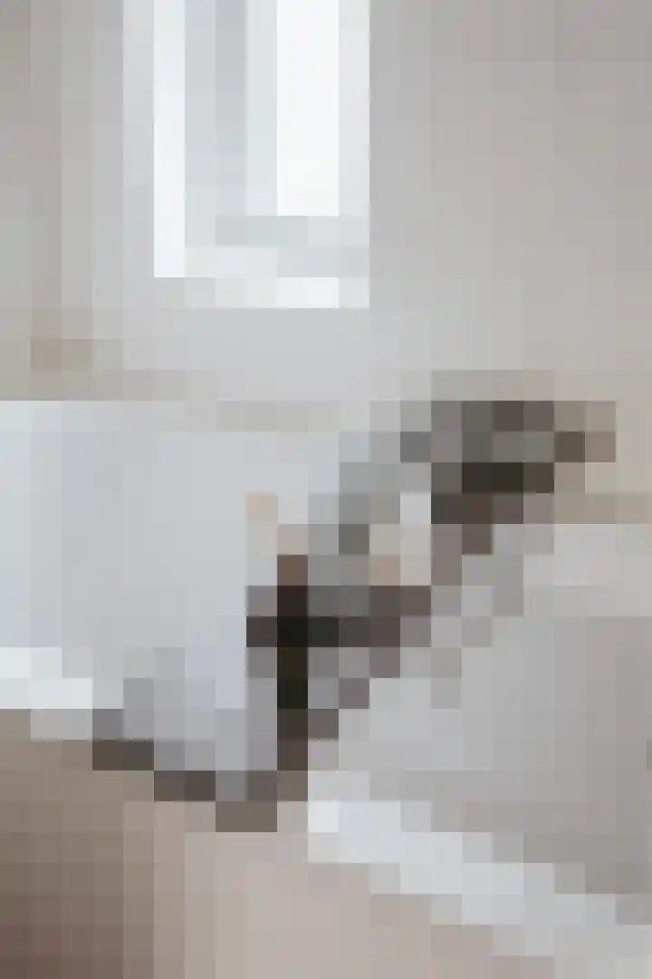 Goudvink 8 Heemskerk thumbnail 27
