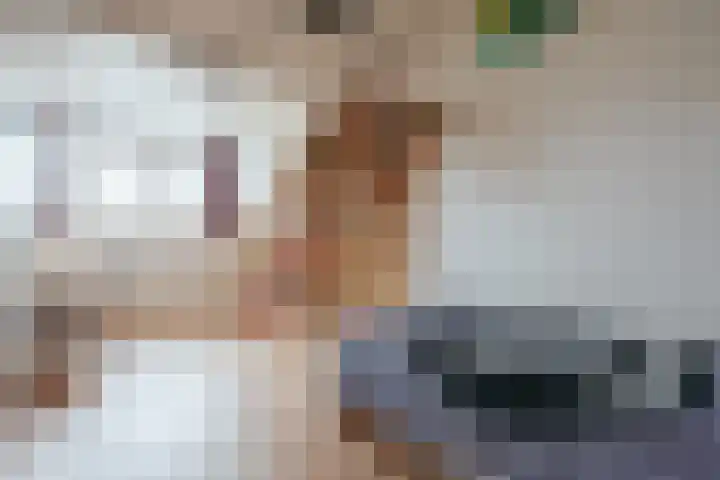 Goudvink 8 Heemskerk thumbnail 33