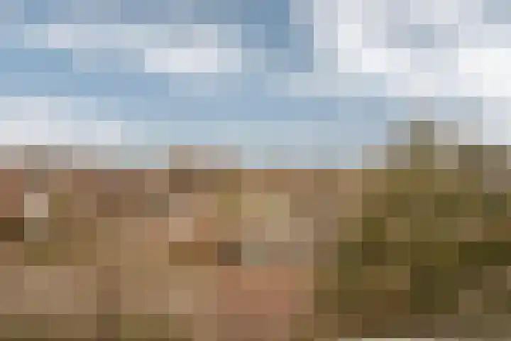 Goudvink 8 Heemskerk thumbnail 34