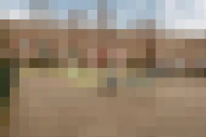 Goudvink 8 Heemskerk thumbnail 36