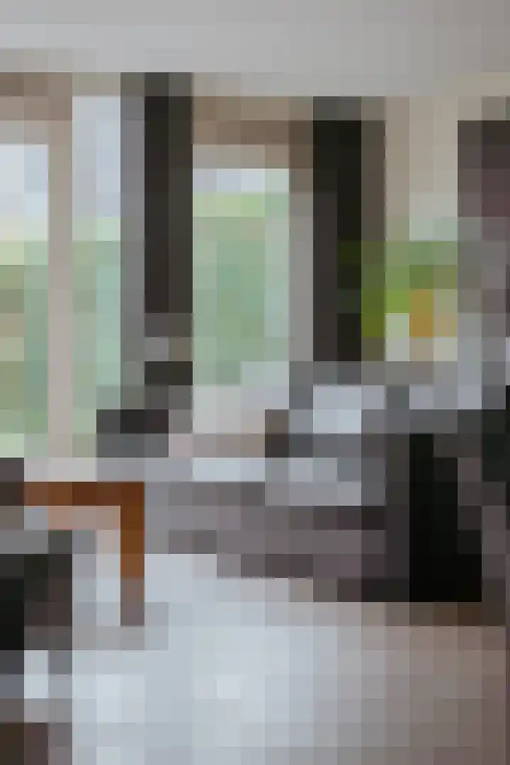 Goudvink 8 Heemskerk thumbnail 7