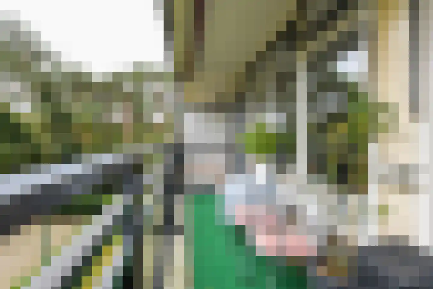 Goudvinklaan 22 Bilthoven thumbnail 11
