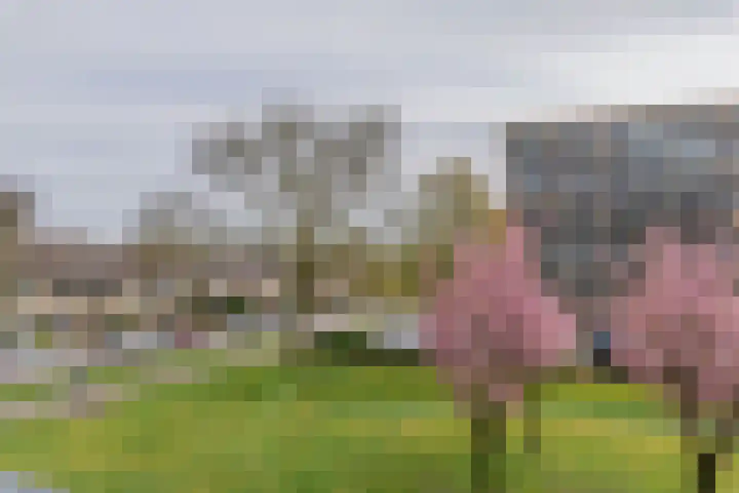 Goudvinklaan 30 Bilthoven thumbnail 14