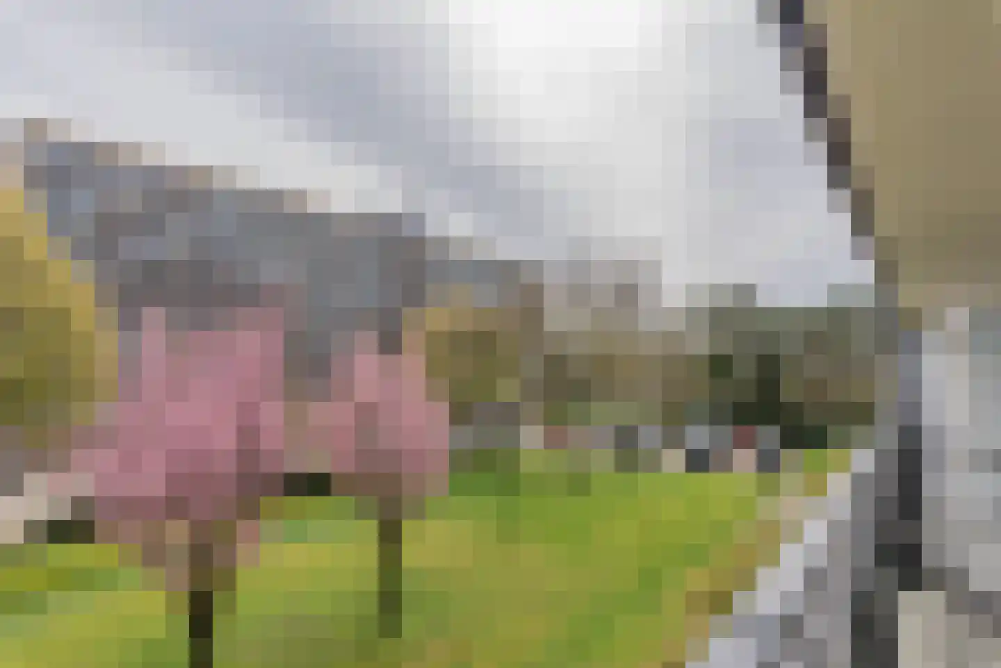 Goudvinklaan 30 Bilthoven thumbnail 15