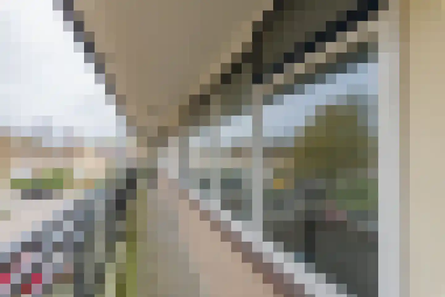 Goudvinklaan 30 Bilthoven thumbnail 6