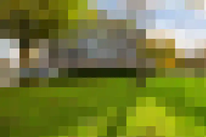 Goudvinklaan 66 Bilthoven thumbnail 29