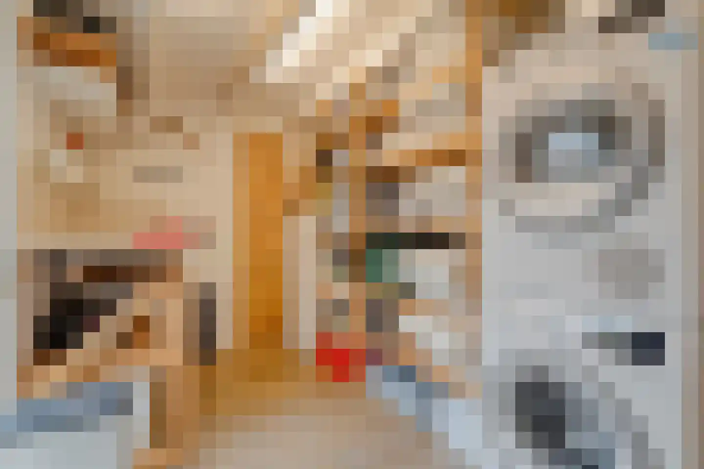 Goudvinkstraat 17 Ommen thumbnail 20