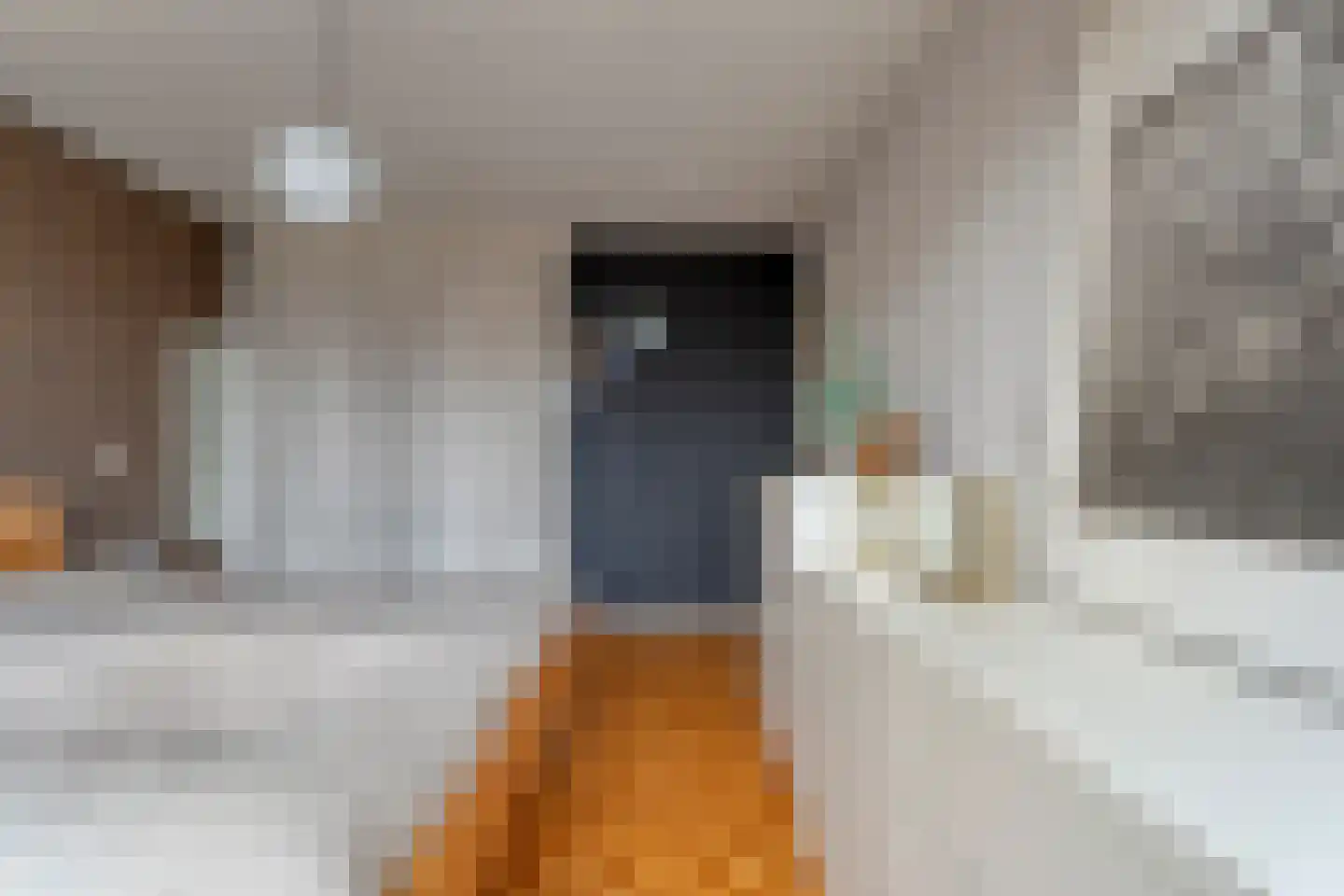 Goudvinkstraat 17 Ommen thumbnail 29