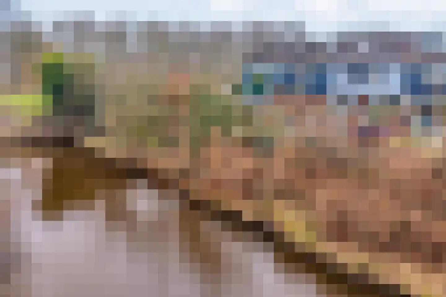 Goudvinkstraat 17 Ommen thumbnail 4