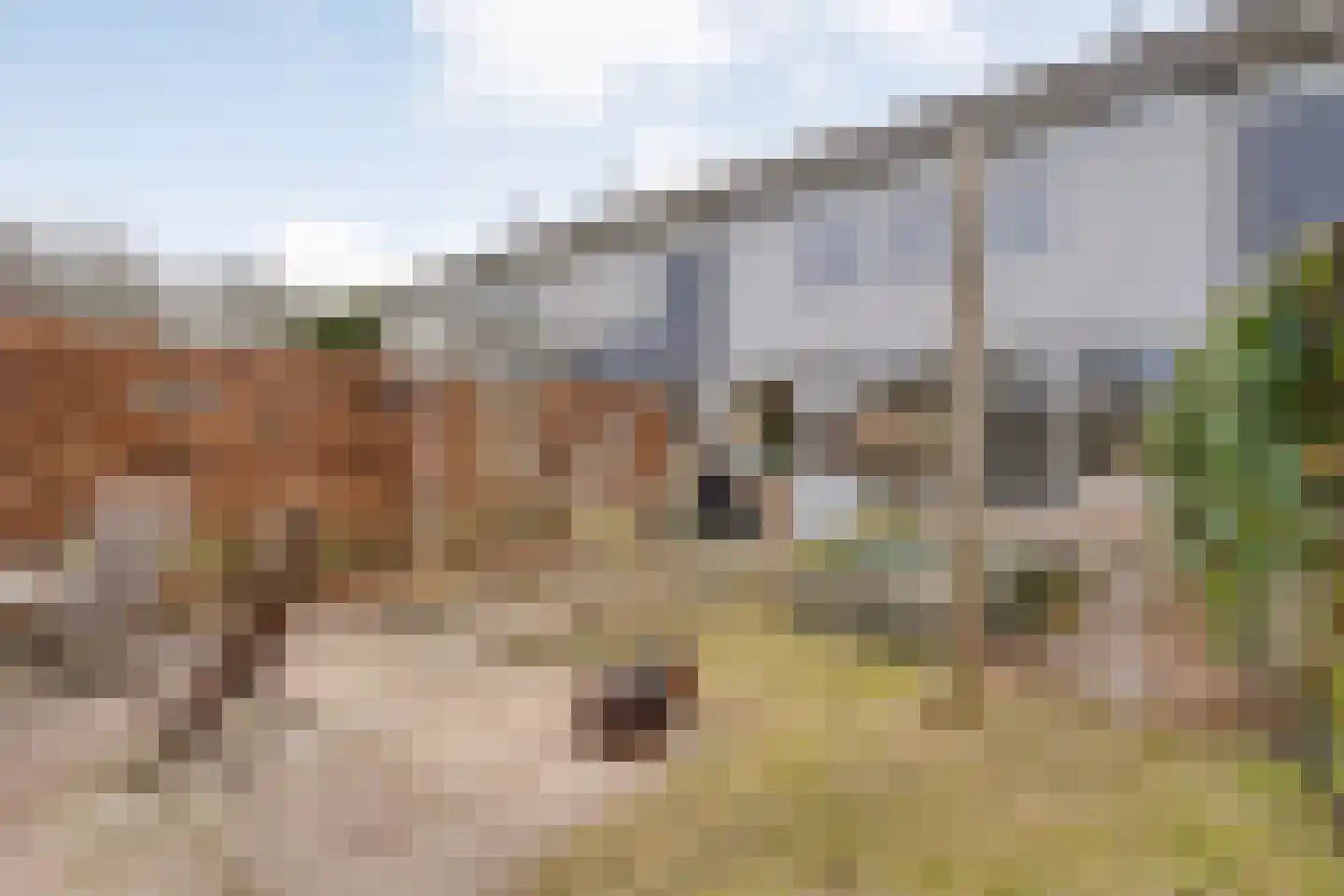 Goudvinkstraat 17 Ommen thumbnail 46