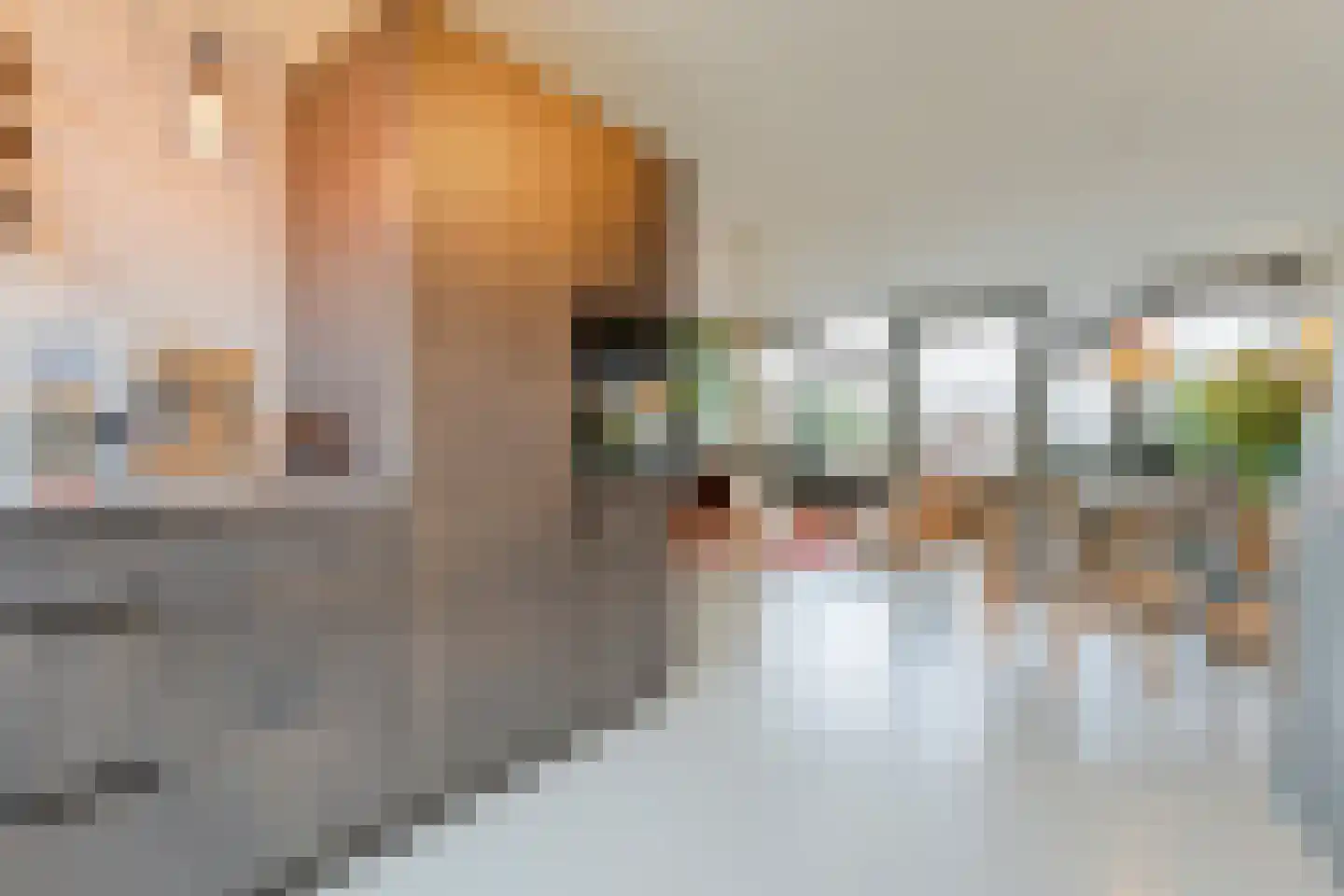 Goudvinkstraat 17 Ommen thumbnail 5