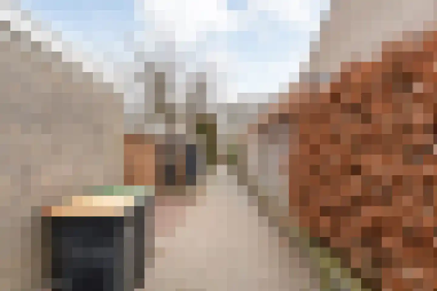 Goudvinkstraat 17 Ommen thumbnail 54