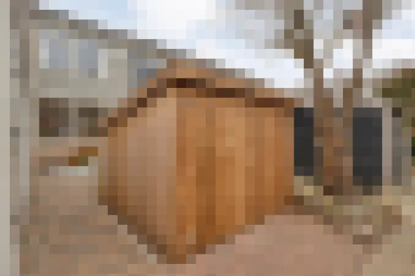 Goudvinkstraat 17 Ommen thumbnail 61