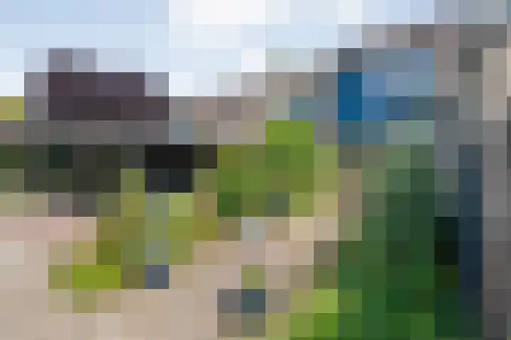 Goudvinkstraat 18 Ommen thumbnail 8