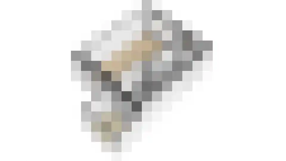 Goudvinkweg 5 Venlo thumbnail 31