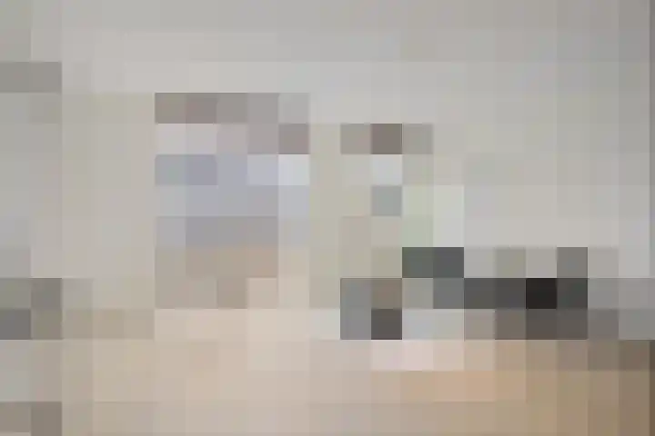 Goudvisstraat 16 Eindhoven thumbnail 12