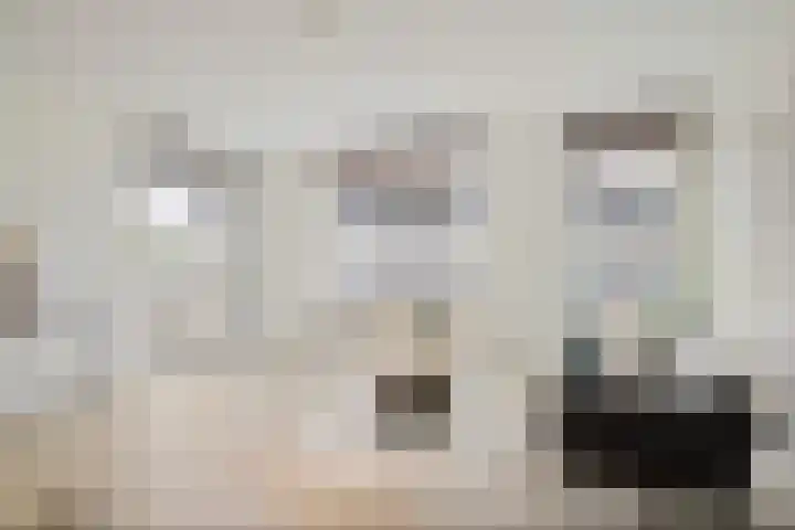 Goudvisstraat 16 Eindhoven thumbnail 13