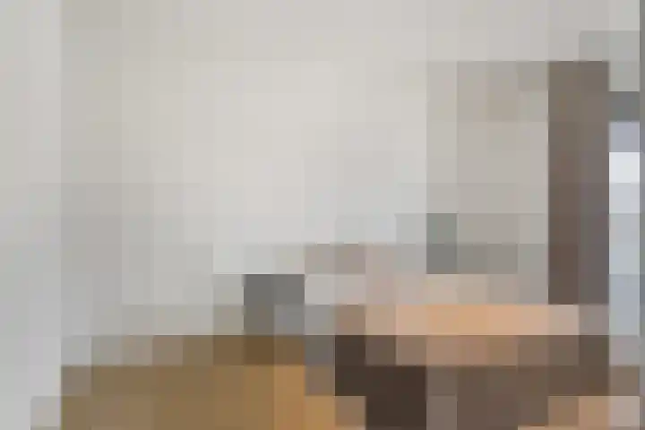 Goudvisstraat 16 Eindhoven thumbnail 19