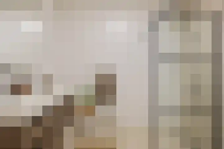 Goudvisstraat 16 Eindhoven thumbnail 4