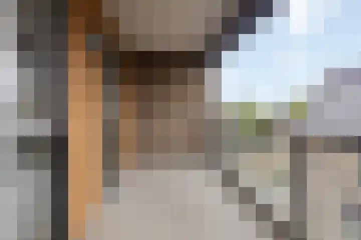 Goudvisstraat 16 Eindhoven thumbnail 5