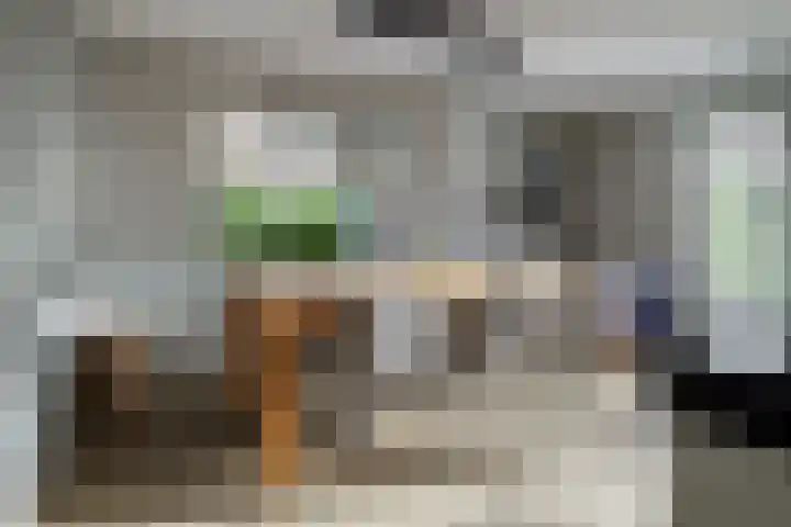 Goudvisstraat 26 Hengelo thumbnail 16