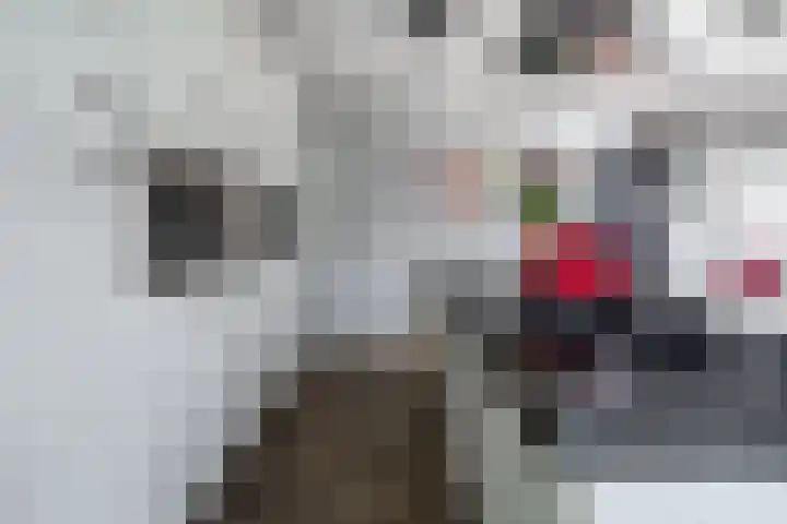 Goudvisstraat 26 Hengelo thumbnail 21