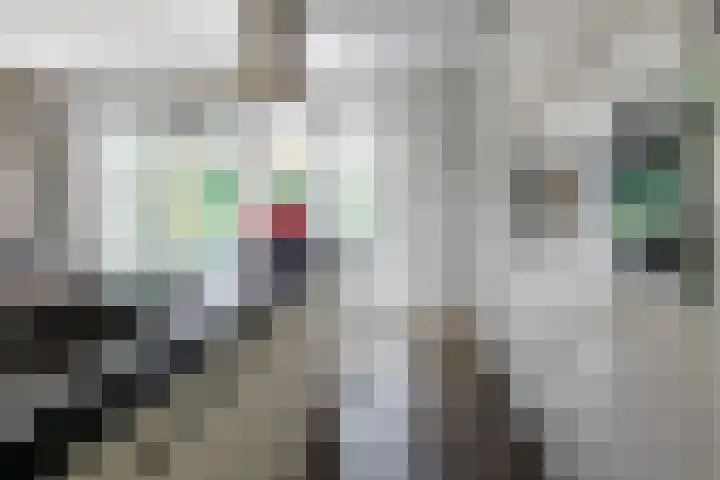 Goudvisstraat 26 Hengelo thumbnail 22