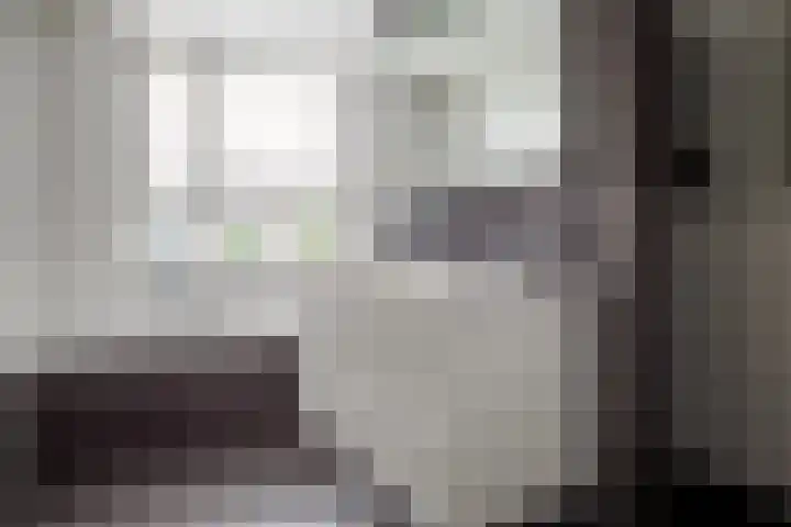 Goudvisstraat 26 Hengelo thumbnail 30