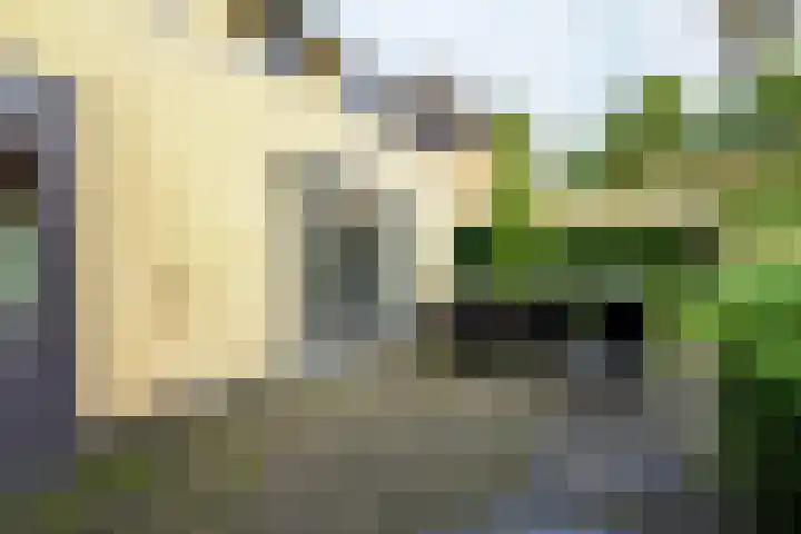 Goudvisstraat 26 Hengelo thumbnail 38