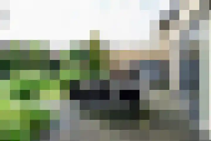 Goudvisstraat 26 Hengelo thumbnail 39