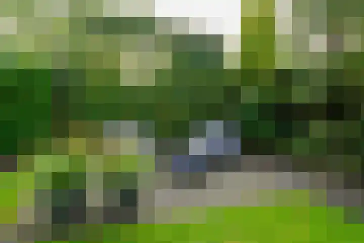 Goudvisstraat 26 Hengelo thumbnail 46