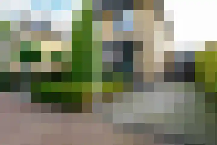 Goudvisstraat 26 Hengelo thumbnail 48