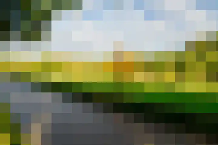 Goudvisstraat 26 Hengelo thumbnail 51