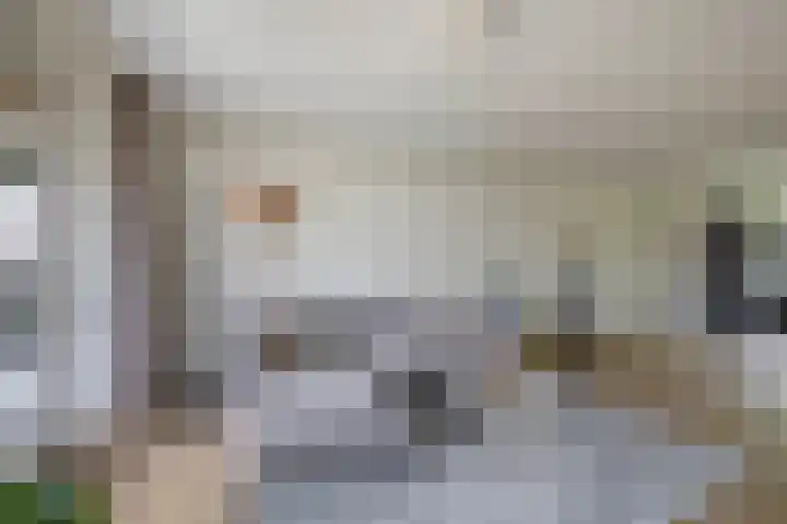 Goudvisstraat 38 Eindhoven thumbnail 17