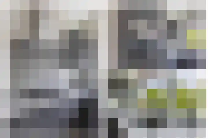 Goudvisstraat 38 Eindhoven thumbnail 22