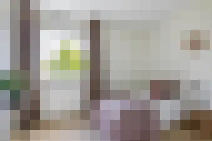 Goudvisstraat 38 Eindhoven thumbnail 27