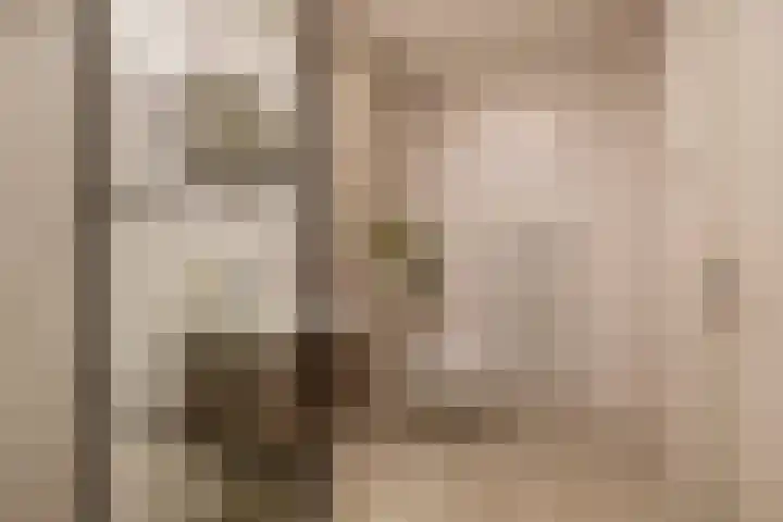 Goudvisstraat 38 Eindhoven thumbnail 30