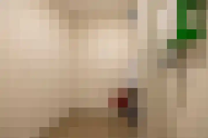 Goudvisstraat 38 Eindhoven thumbnail 31