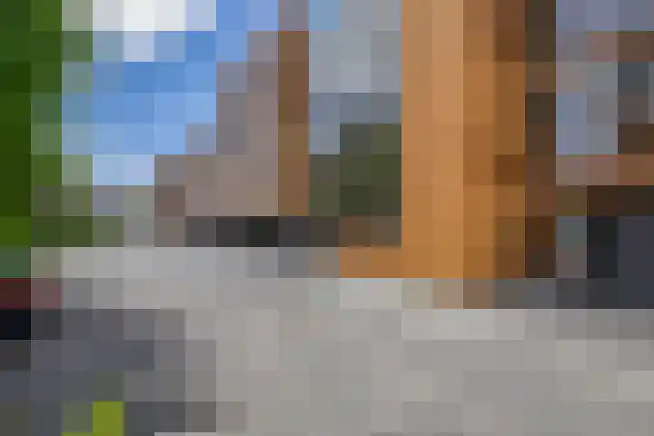 Goudvisstraat 38 Eindhoven thumbnail 32