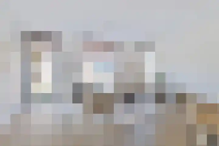 Goudvisstraat 6 Eindhoven thumbnail 10
