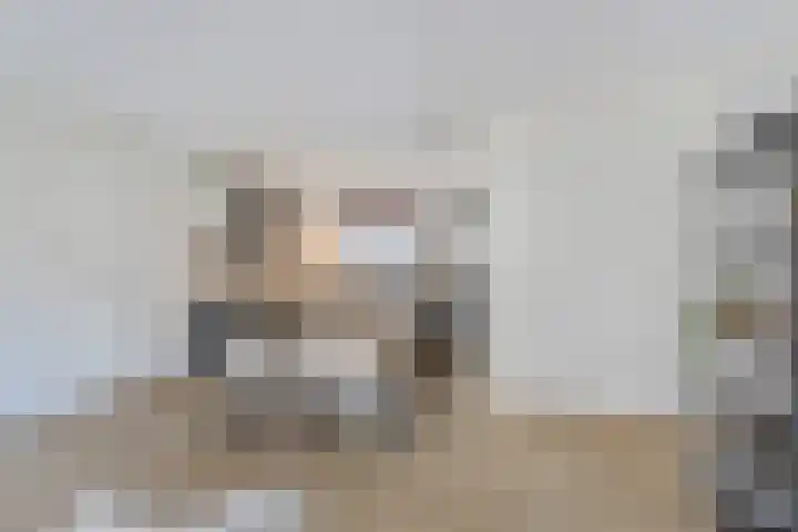 Goudvisstraat 6 Eindhoven thumbnail 11