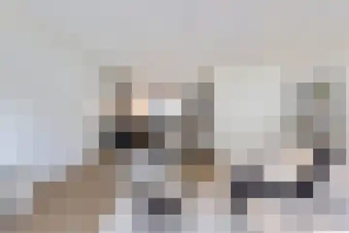Goudvisstraat 6 Eindhoven thumbnail 12