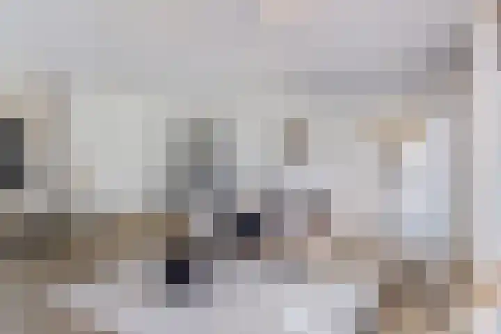 Goudvisstraat 6 Eindhoven thumbnail 13