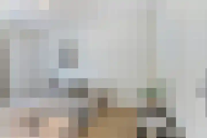Goudvisstraat 6 Eindhoven thumbnail 14