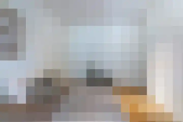 Goudvisstraat 6 Eindhoven thumbnail 16