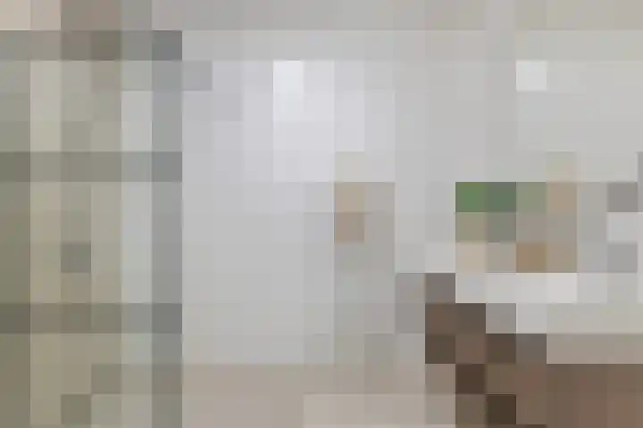 Goudvisstraat 6 Eindhoven thumbnail 18