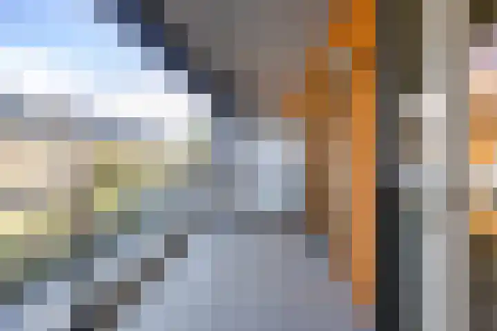Goudvisstraat 6 Eindhoven thumbnail 20
