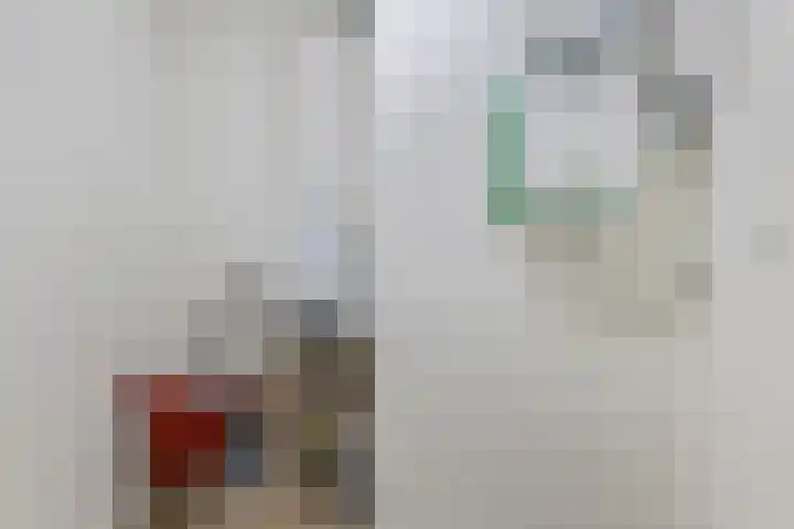 Goudvisstraat 6 Eindhoven thumbnail 24