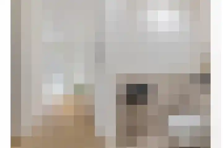 Goudvisstraat 6 Eindhoven thumbnail 6