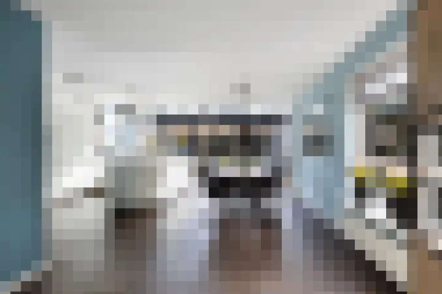 Goudvisstraat 6 Hengelo thumbnail 20